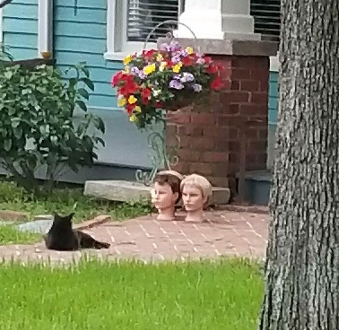 Neighbor Has Tons Of Mannequin Heads All Over Her Lawn, And Changes Them Every Week