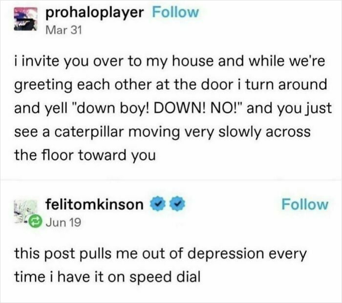 Funny meme about a caterpillar mistaken for a pet, shared to brighten your day.