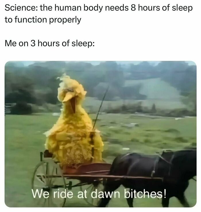 Person in a Big Bird costume riding a horse-drawn carriage, illustrating funny posts about barely holding it together with little sleep.