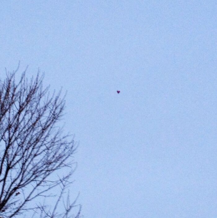 Heart-shaped balloon floating in the sky with a tree in the foreground, capturing a quirky yet cute Valentine's gift scene.