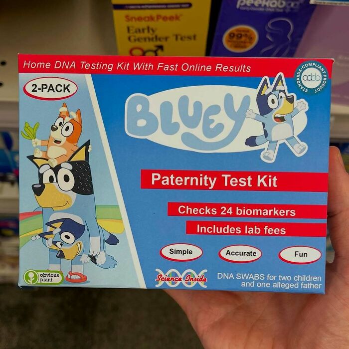 Hand holding a fake Bluey paternity test kit, showcasing one of the funniest fake products snuck into real stores.