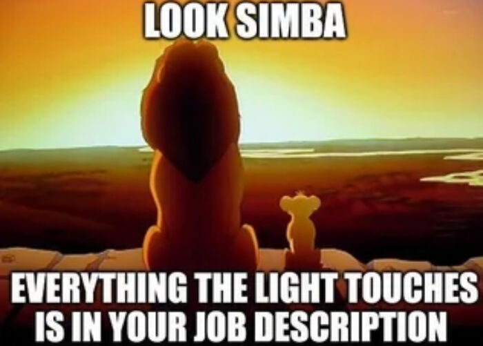 Lion King meme for programmers: "Look Simba, everything the light touches is in your job description."