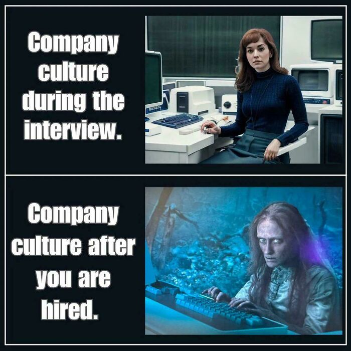 Programmers meme comparing interview vs. hired company culture with contrasting images.
