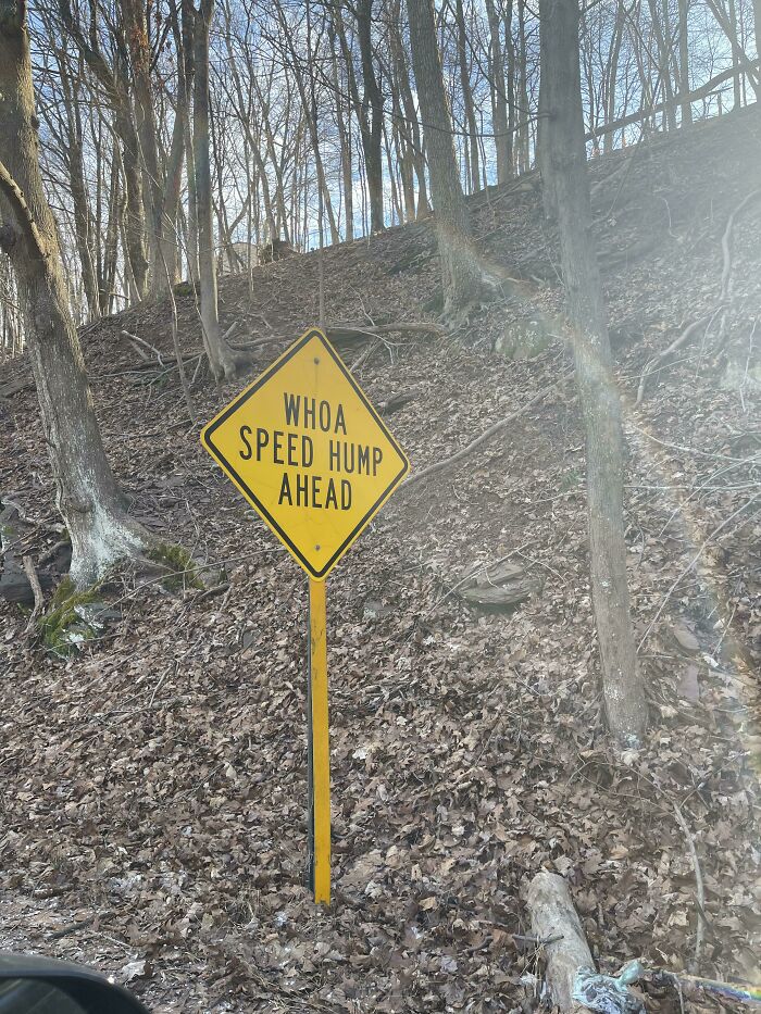 Funny sign with "Whoa Speed Hump Ahead" in a wooded area.