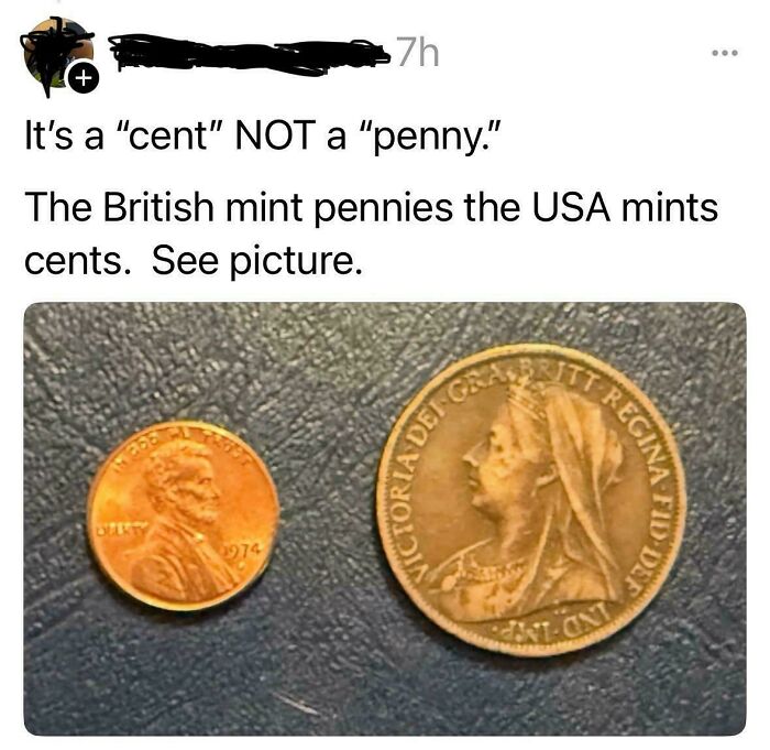 Image showing a user confidently roasting a common coin confusion with British pennies and US cents.