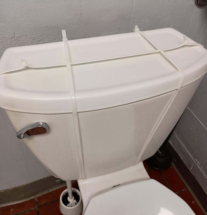 A toilet tank secured with zip ties, an unexpected Florida-Wild-Moments scene.
