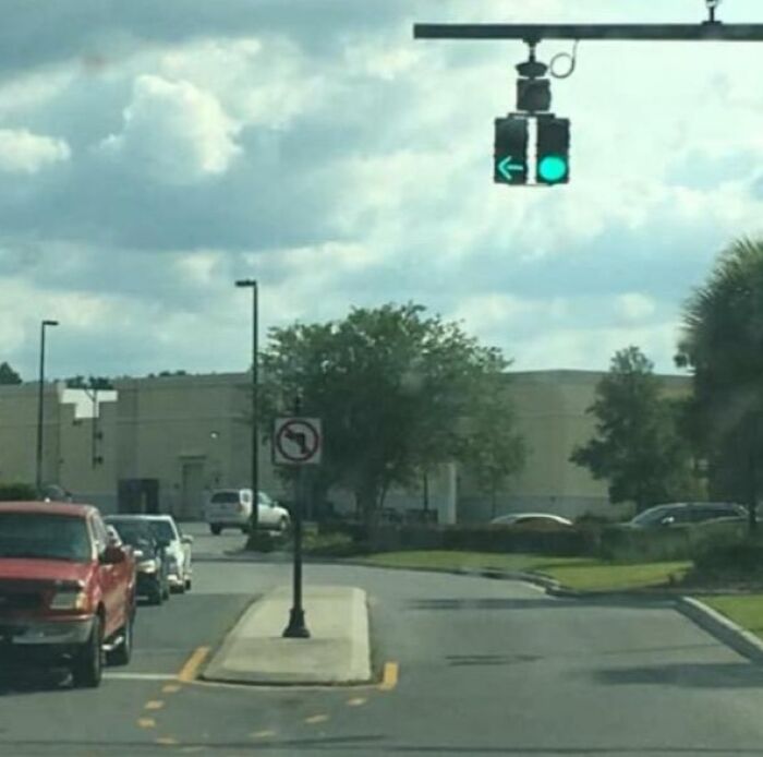 Traffic light showing left turn in Florida, with a no left turn sign beneath, highlighting wild driving moments.