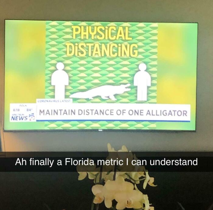 TV screen showing alligator as physical distancing guide; caption jokes about a Florida metric.