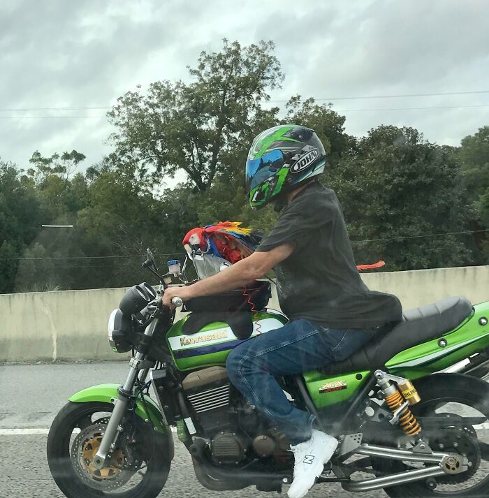 Motorcyclist with a colorful parrot on the back, showcasing a unique Florida wild moment.