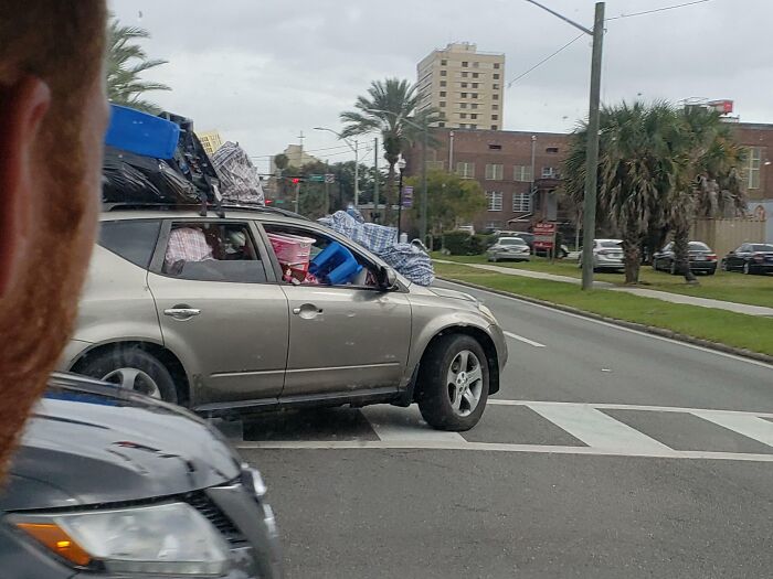 A car overloaded with luggage driving down a palm-lined street, showcasing a Florida wild moment.