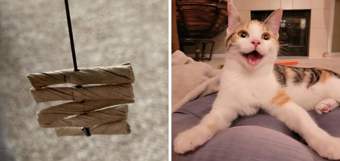 Wooden clothespins hanging on a string and a happy calico cat lying on a bed, showcasing affordable everyday items.