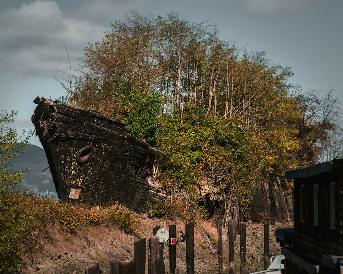 Old ship overtaken by trees and plants, showcasing nature reclaiming civilization.