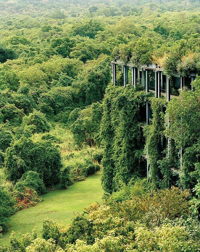 Building partly covered by lush greenery, showcasing nature reclaiming civilization.
