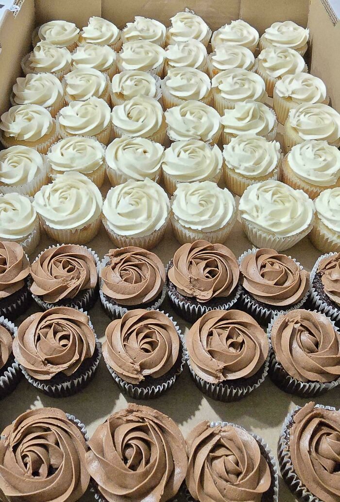 Rows of incredible bakes featuring vanilla and chocolate frosted cupcakes arranged in a large box.