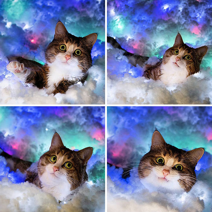 A cat with expressive faces surrounded by colorful clouds, featuring Rexie in various playful poses.