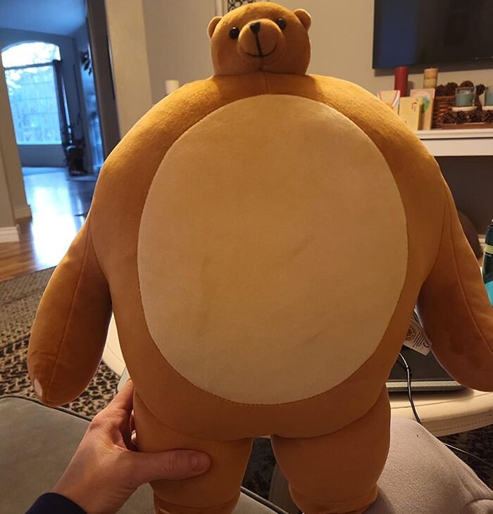 Weird thing: a plush bear pillow with a round tummy, held in a living room setting.