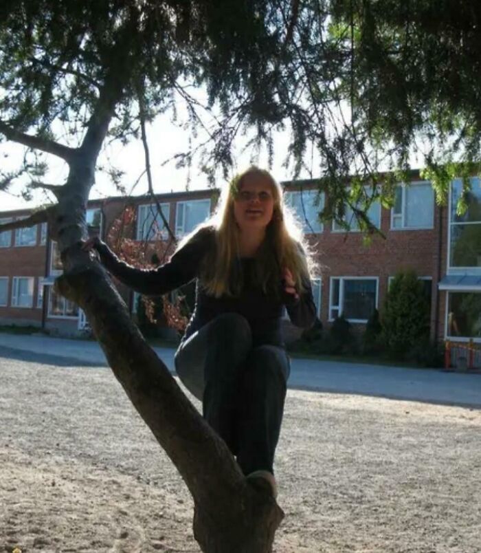 Person sitting on a tree branch in a schoolyard, related to photographs with terrifying backstories.