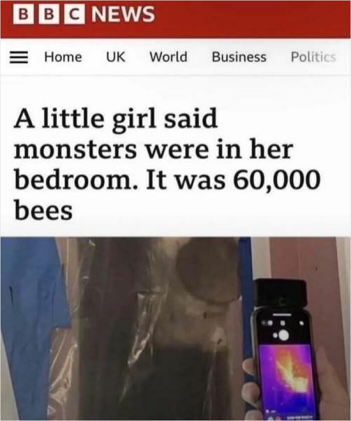 Image of humorous news headline about a girl mistaking bees for monsters in her room, exemplifying internet humor.