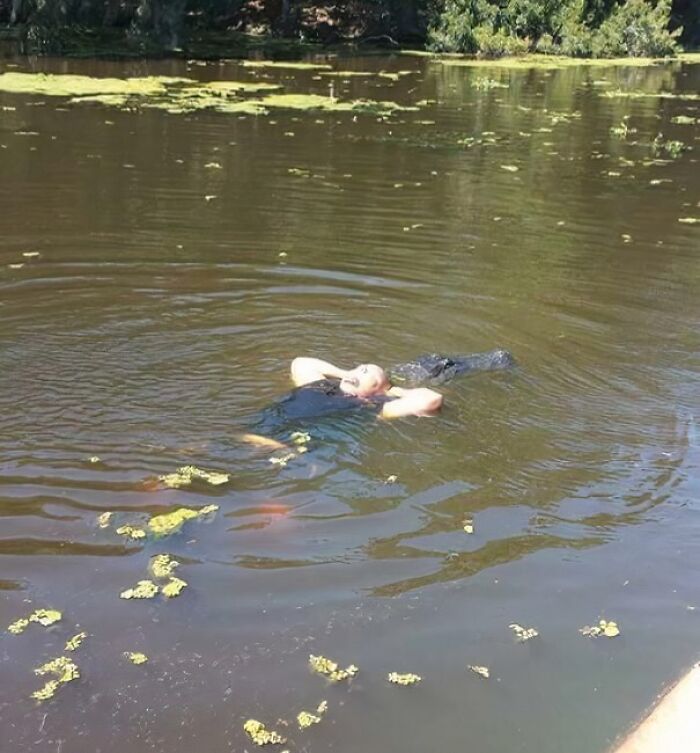 Person floating calmly in a swampy pond with a crocodile, capturing a unique Florida wild moment.