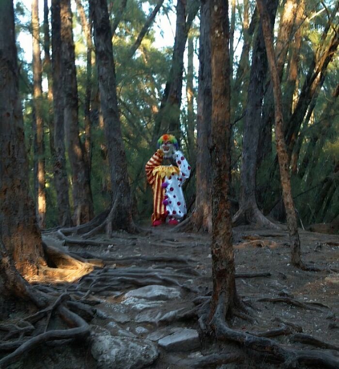 Clown in colorful costume standing in a dense forest, showcasing an unexpected Florida wild moment.
