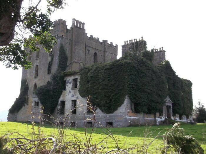Ancient castle overgrown with ivy, a striking example of nature reclaiming civilization structures.