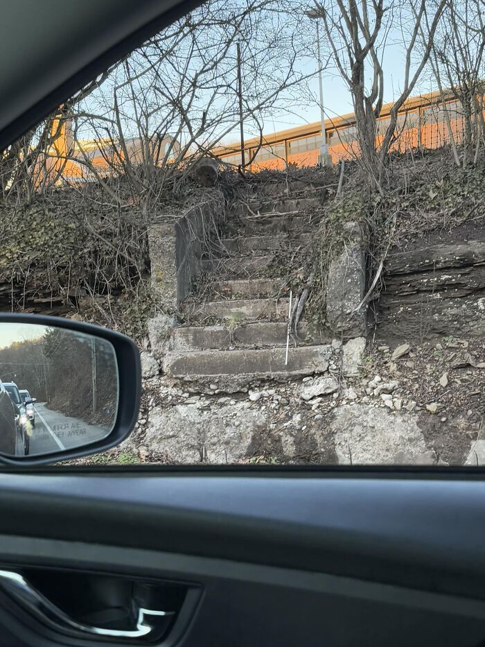 View from a car of a steep, worn-out staircase overgrown with vegetation, capturing the essence of “death stairs”.