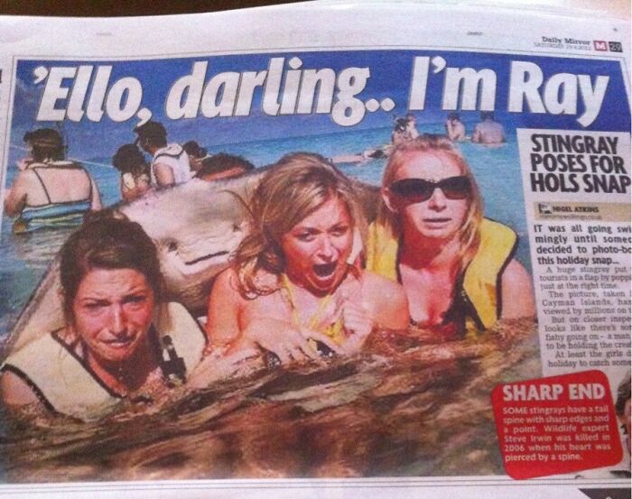 Three women surprised by a stingray photobomb at the beach, illustrating hilarious news headlines.