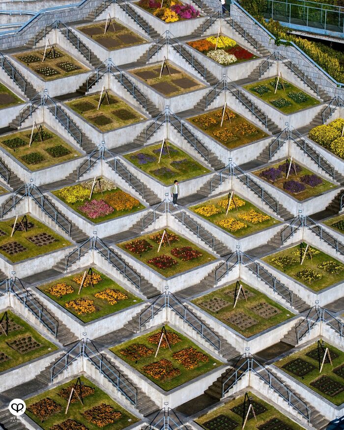 Concrete stairs zigzag through a colorful, terraced garden, showcasing a complex and steep design.