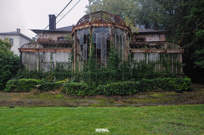 Old glasshouse covered with greenery, showcasing nature reclaiming civilization.