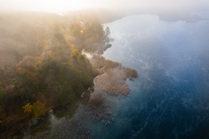 Aerial view of Lithuania's misty forest and clear lake, showcasing beautiful natural landscape.