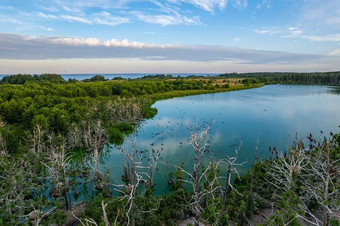 Bird’s-eye view of a lush, green landscape in Lithuania with a serene lake and a cloudy blue sky.