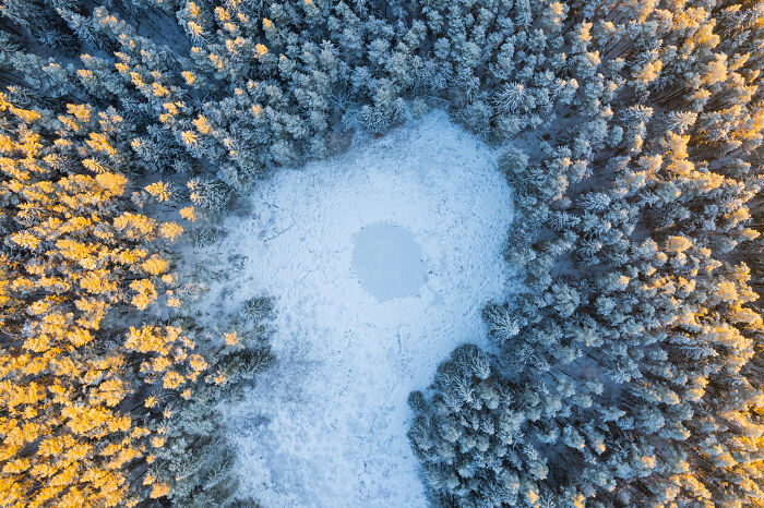 Aerial view of a snowy forest in Lithuania with trees surrounding an open clearing.