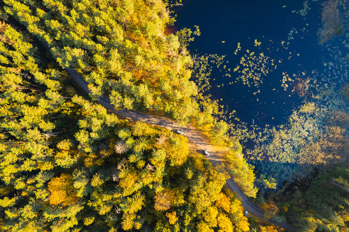 Bird's-eye view of Lithuania showcasing a winding road through a dense forest and adjacent lake.