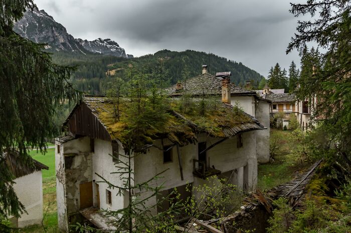 Abandoned house overtaken by nature, with trees growing on the roof in a mountainous setting.