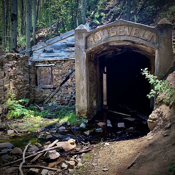 Old stone structure overgrown with plants and trees, illustrating nature reclaiming civilization.