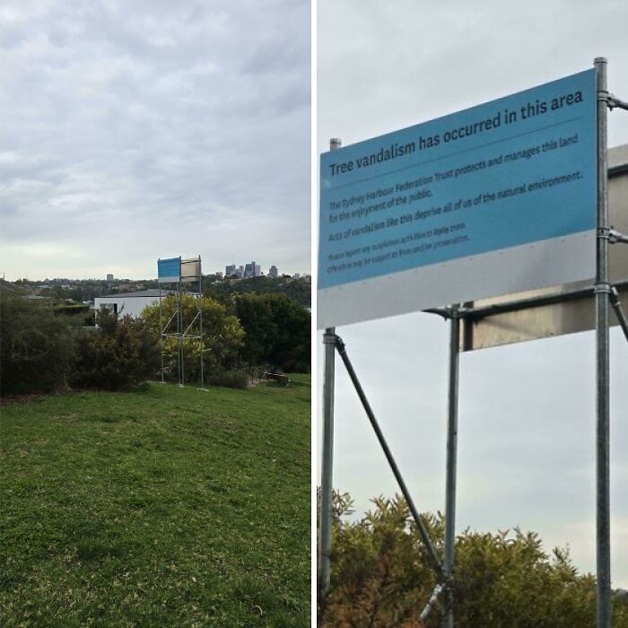 A sign in a park addressing tree vandalism, symbolizing Cities-Genius-Solutions efforts for natural environment protection.