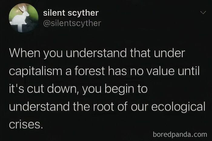 Text tweet about capitalism and ecological crises; humorous logic in contrasting value systems.