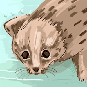 abdelkrimkouhail avatar