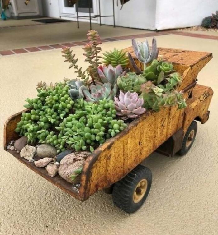 Toy truck repurposed as a creative planter holding assorted succulents, showcasing recycling inspiration.