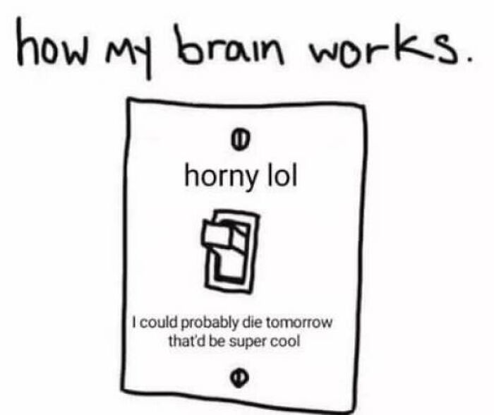 Switch labeled "h***y lol" and "I could die tomorrow," embodying existential meme humor.