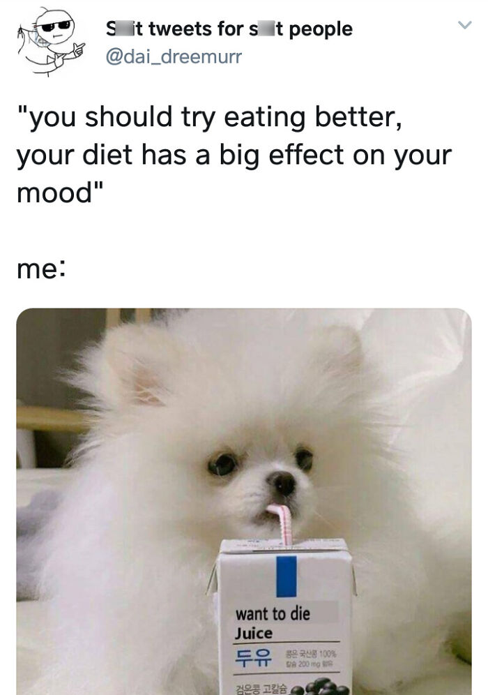 Cute fluffy dog sipping from a juice box labeled "want to die," representing existential memes.