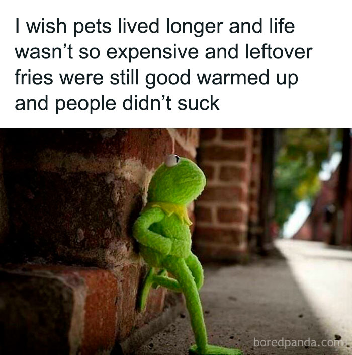 Kermit the Frog leaning against a brick wall, pondering existential thoughts about life and pets.