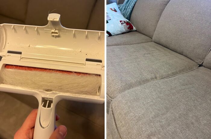Amazon find: a fur remover tool and a clean sofa, solving unexpected pet hair issues.