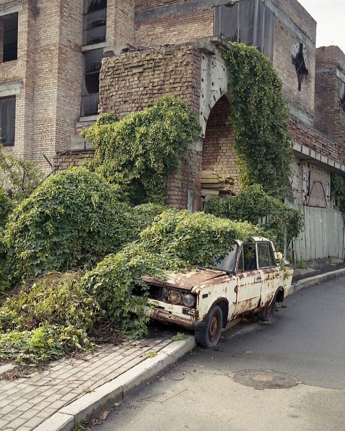 Nature reclaiming civilization, with vines overgrown on an abandoned car and building.