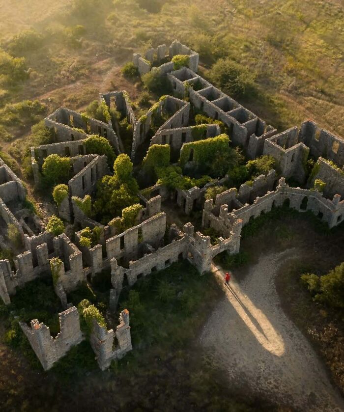 Overgrown ruins with dense greenery, illustrating nature reclaiming civilization.