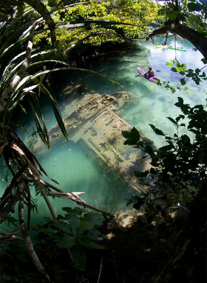 A submerged vehicle in clear water surrounded by lush greenery, illustrating nature reclaiming civilization.