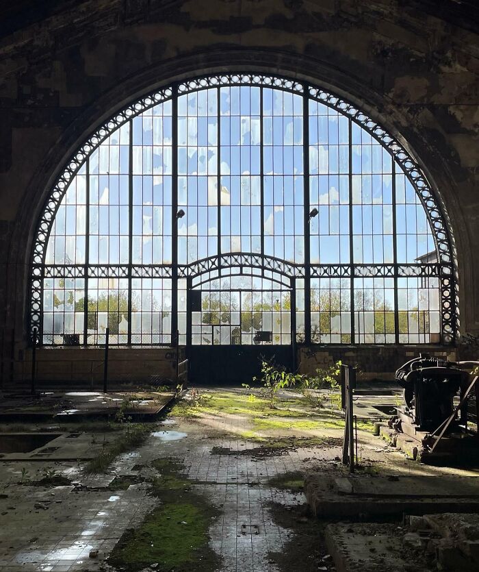 Abandoned train station with plants growing on the floor, illustrating nature reclaiming civilization.