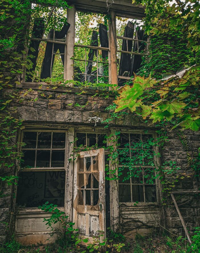 Overgrown vines envelop an abandoned building, showcasing nature reclaiming civilization.