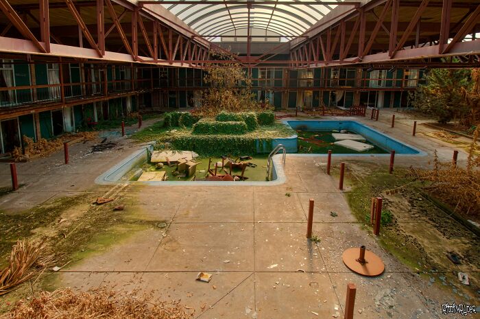 Overgrown plants reclaiming abandoned courtyard and pool, showcasing nature reclaiming civilization.