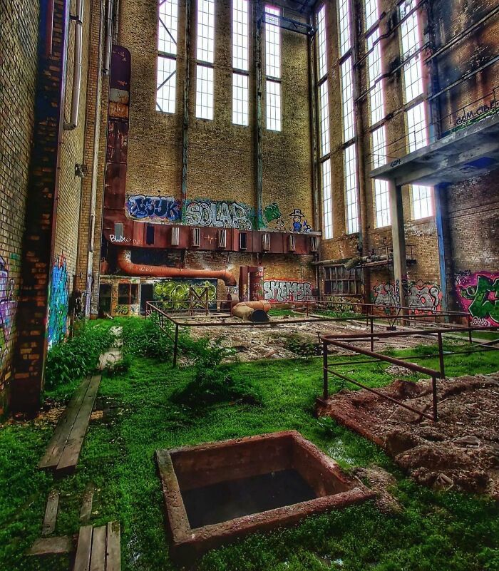 Abandoned industrial building with nature reclaiming civilization, as greenery covers the floor and graffiti decorates the walls.